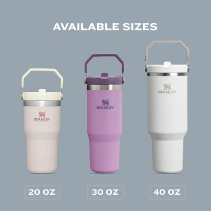 Stanley IceFlow 2.0 Flip Straw Tumbler 30 oz Lilac (Box)