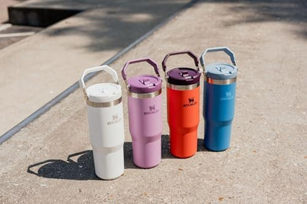 Stanley IceFlow Vaso térmico de acero inoxidable, botella de agua aislada al vacío para el hogar y el coche, taza reutilizable con pajita, tapa resistente a fugas, mantiene el frío durante 12 horas o helado durante 2 días, Tigerlily Plum, 30 oz / 0.89 L