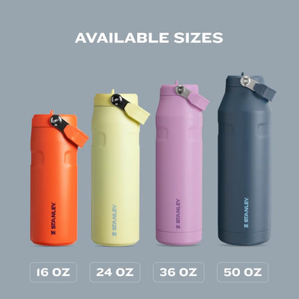Stanley IceFlow Aerolight Flip Straw Bottle 2.0 1g Frost