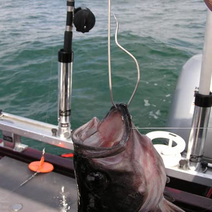 Shelton SFD Fish Descender - SFD