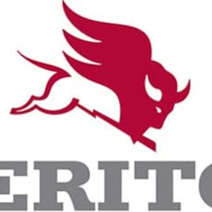 Meritor Nut - R301354