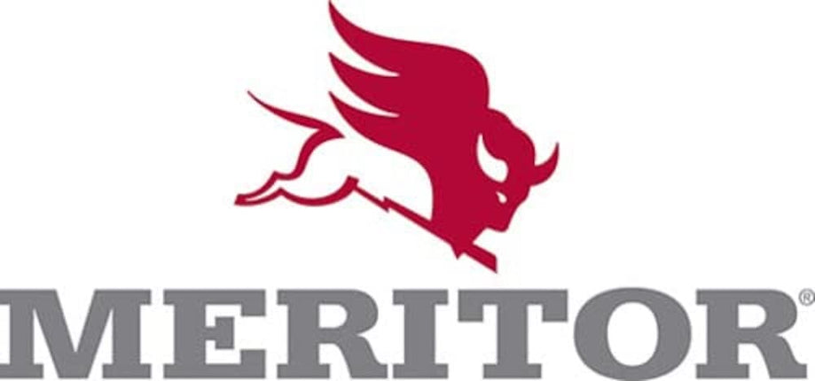 Meritor Nut - R301354