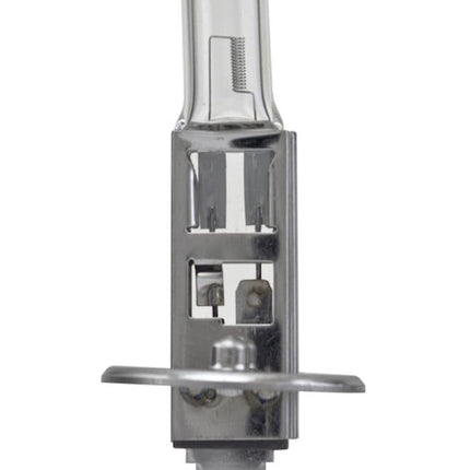 HELLA H1P50 +50 Performance Bulb, 12V, 55W