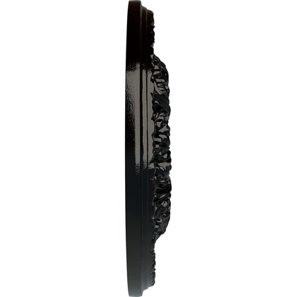 Ekena Millwork CM18GABPS Granada Ceiling Medallion, Black Pearl