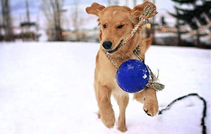 Horsemen's Pride Romp-n-Roll Jolly Ball, 6-Inch, Blue