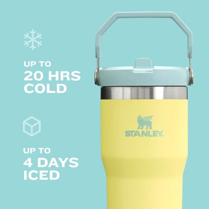 Stanley IceFlow 2.0 Flip Straw Tumbler 30 oz Lilac (Box)