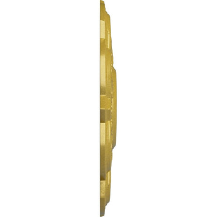 Ekena Millwork CM20DRRGS Deria Ceiling Medallion, 20 1/4"OD x 1 1/2"P (Fits Canopies up to 6"), Hand-Painted Rich Gold