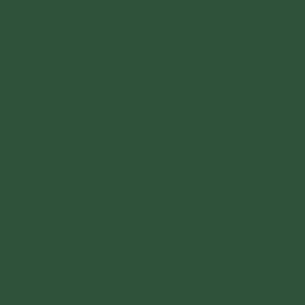 Rust-Oleum 7732502-2PK Stops Rust Brush On Paint, Quart, Satin Hunter Green, (Pack of 2)