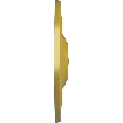 Ekena Millwork CM22CLRGS 21 7/8" OD x 2 3/8" P Classic Ceiling Medallion (for Canopies up to 5 1/2"), Rich Gold