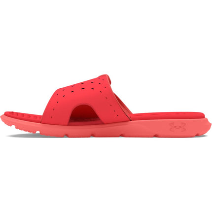 Under Armour Women's Ignite Pro Slide Sandal, (603) Red Solstice/Coho/Coho, 3.5 UK