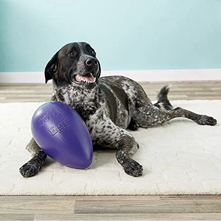 Jolly Pets Egg Dog Toy, 30 cm, Purple