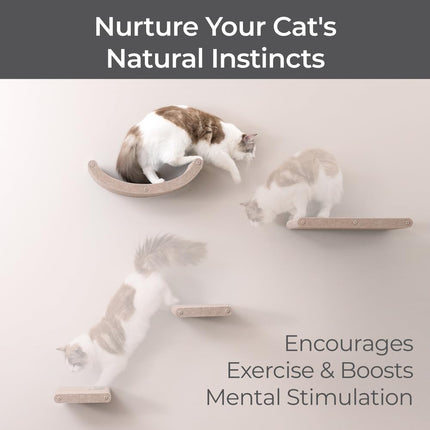 Cat Wall Shelves Set - Indoor & Outdoor by Pryde Pets