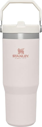 Stanley IceFlow Stainless Steel Tumbler - Vacuum Insulated Water Bottle for Home, Office or Car Reusable Cup with Straw Leak Resistant Flip Cold for 12 Hours or Iced for 2 Days, Citron, 30oz