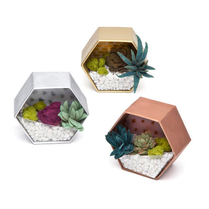 Craft Crush – Mini Terrariums Craft Kit – Make 3 Geometric Terrariums with Colorful Felt Succulents
