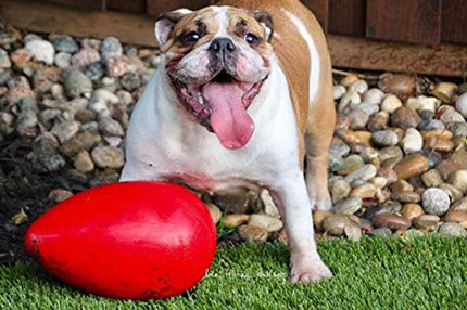 Jolly Pets Egg Dog Toy, 30 cm, Red, JE12 RD