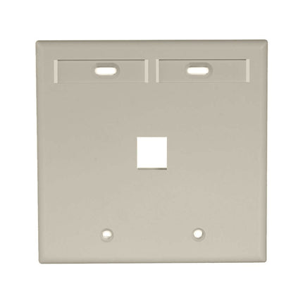 Leviton 42080-1IP 1-Port Dual Gang QuickPort Wallplate with ID Windows, Ivory