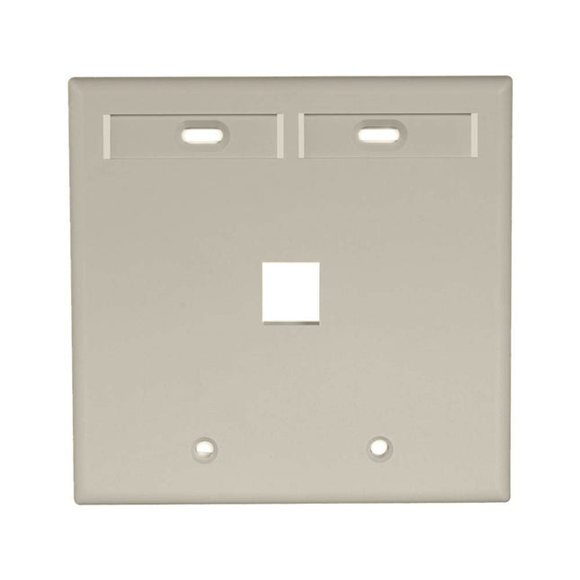 Leviton 42080-1IP 1-Port Dual Gang QuickPort Wallplate with ID Windows, Ivory