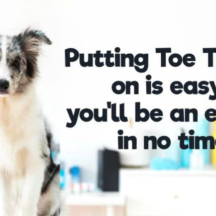 Dr. McHenry's Dog Toe Treads, Set of 20 w/Adhesive & Cleaning Brush, Increased Traction & Stability on Slippery Floors, Senior Dog Traction & Mobility Support (Large Kit- Weight: 40-60 lbs.)