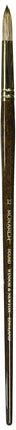 Winsor & Newton 5503012 Brush – Clear x 20 x 2 cm