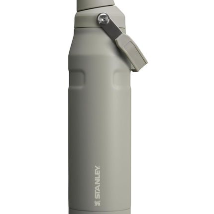 Stanley IceFlow Fast Flow Water Bottle 36 oz | Ang