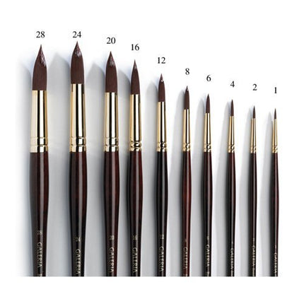 Winsor and Newton Galeria Brush Long Handle Round No 12 (Each)