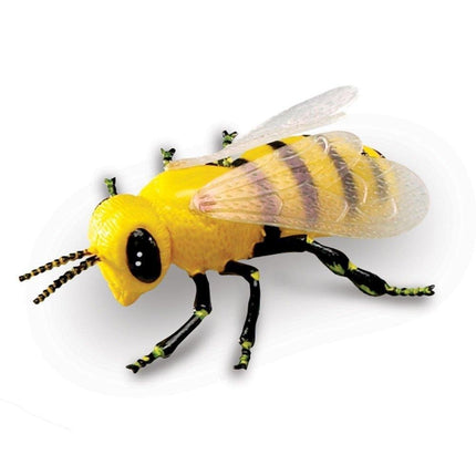 Learning Resources Jumbo Insects
