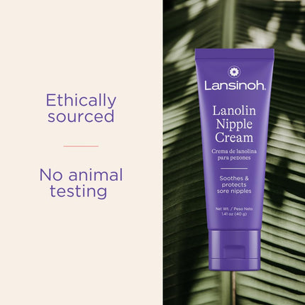 Lansinoh Hpa Lanolin for Breastfeeding Mothers, 2-Ounce (Pack of 2)