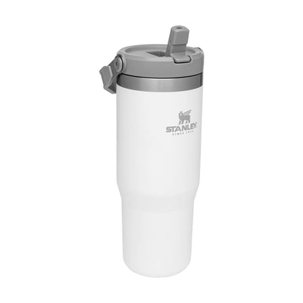 STANLEY IceFlow Stainless Steel Tumbler with Straw - Vacuum Insulated Water Bottle for Home, Office or Car - Reusable Cup with Straw Leak Resistant Flip - Cold for 12 Hours or Iced for 2 Days (Polar)