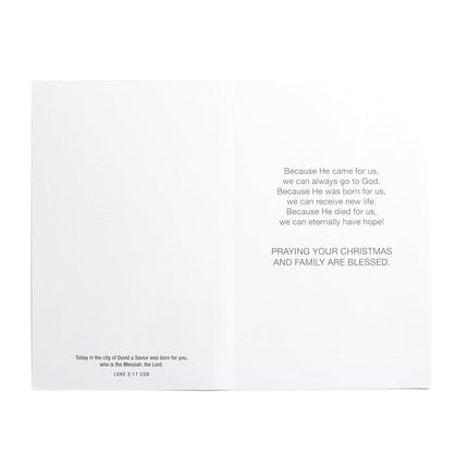 DaySpring - Simply Jesus - 60 Bulk Christmas Boxed Cards (J4794), Multi