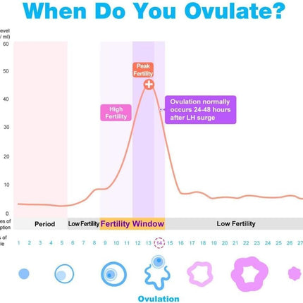 Easy@Home Ovulation Test Predictor Kit : Accurate Fertility Test for Women (Width of 5mm), Fertility Monitor Test Strips, 50 LH Strips