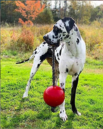 Horsemen's Pride Romp-n-Roll Jolly Ball, 8-Inch, Red