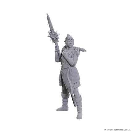 Wizkids - D&D Nolzurs Marvelous Miniatures: Special Edition Baldurs Gate 3 - Laezel & Shadowheart