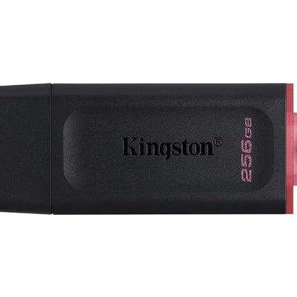 Kingston DataTraveler Exodia DTX/256 GB Flash Driv