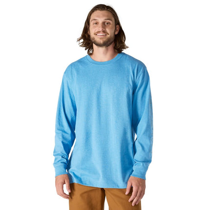 Carhartt Men's Dearborn Loose Long-Sleeve Logo T-S