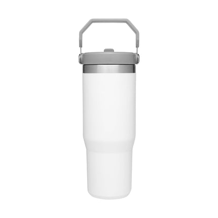 STANLEY IceFlow Stainless Steel Tumbler with Straw - Vacuum Insulated Water Bottle for Home, Office or Car - Reusable Cup with Straw Leak Resistant Flip - Cold for 12 Hours or Iced for 2 Days (Polar)