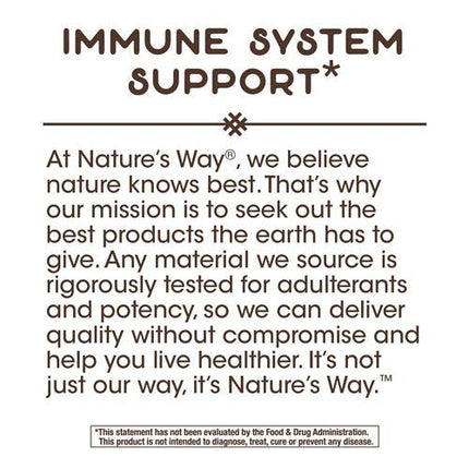 Nature's Way Zinc Natural Berry - 60 Lozenges