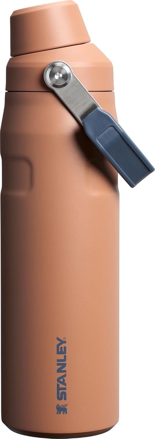 Stanley IceFlow Fast Flow Water Bottle 24 oz | Ang