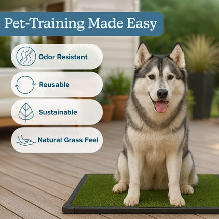 PETMAKER - Dog Grass Mat with Tray - 35.5" x 23.5" Reusable Dog Pee Pads - Artificial Grass Mat for Indoor Outdoor