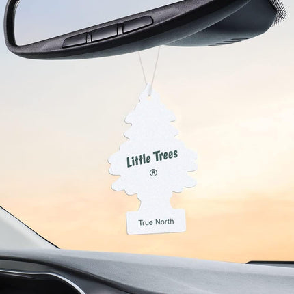 Little Trees Car Air Freshener | Hanging Paper Tree for Home or Car | True North | 3 Pack