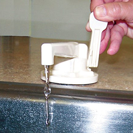 Zebra RV (R3700-Polar White) Combo Water Pump