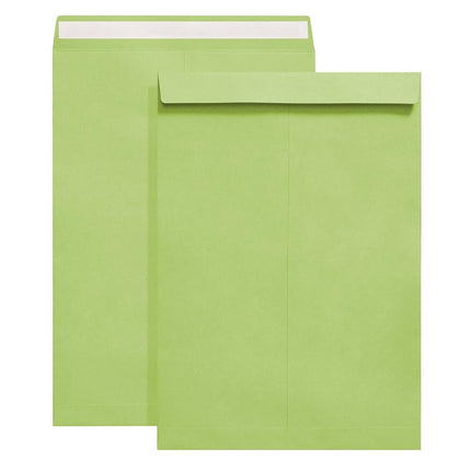 Tanshuqin 9" x 12.75" Light Green Self-Seal Catalo