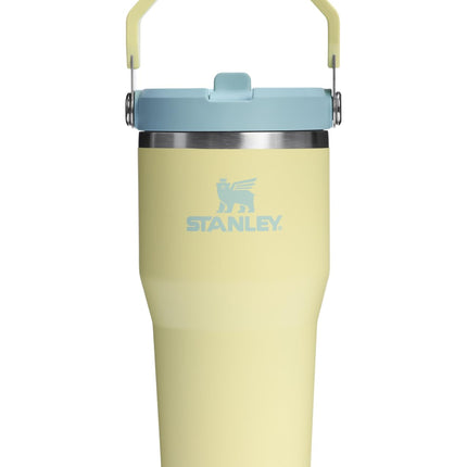 STANLEY IceFlow 2.0 Straw Cup with Handle, 590 ml,