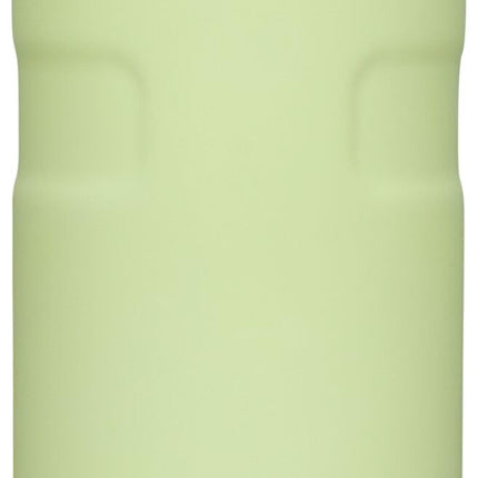 STANLEY IceFlow Cap and Carry Water Bottle 16 oz |