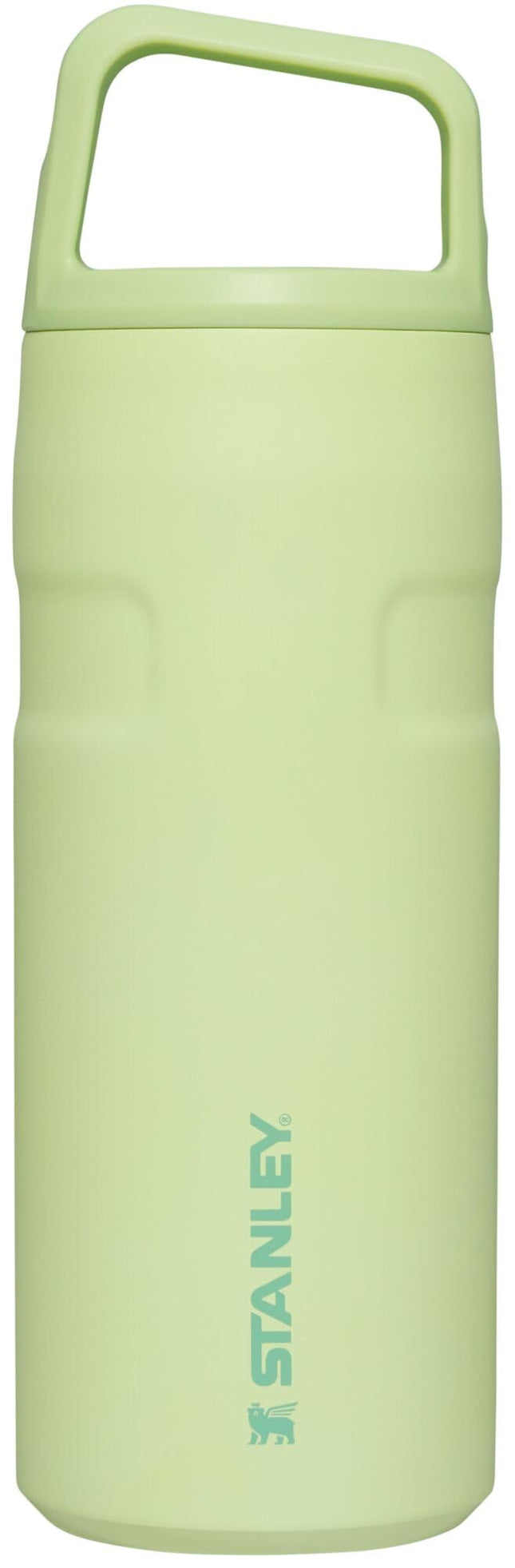 STANLEY IceFlow Cap and Carry Water Bottle 16 oz |