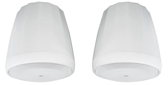 JBL Professional C60PS/T-WH Hanging Pendant Subwoo