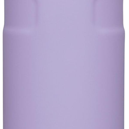 Stanley IceFlow 24 oz Cap and Carry+ Water Bottle 
