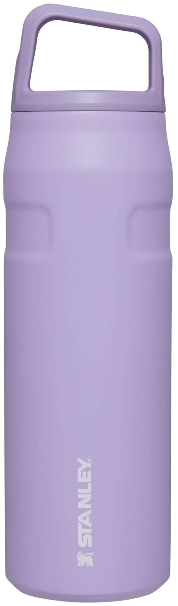 Stanley IceFlow 24 oz Cap and Carry+ Water Bottle 