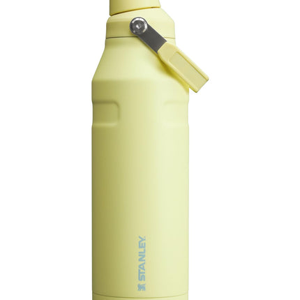 Stanley IceFlow Fast Flow Water Bottle 50 oz | Ang