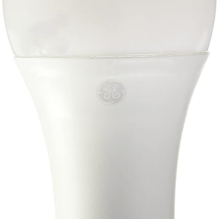 GE Sun Filled LED Light Bulb, 60 Watt, Soft White, A21 (1 Pack)
