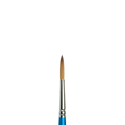 Winsor & Newton Brush, Wood, Transparent, No 7 -. 